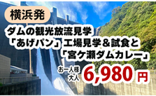 ダムの観光放流見学6980円